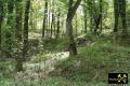 Rothschönberger Stollen im Bergbau Revier Freiberg, Erzgebirge, Sachsen, (D) (15) 05. Mai 2005 Halde LL I.jpg